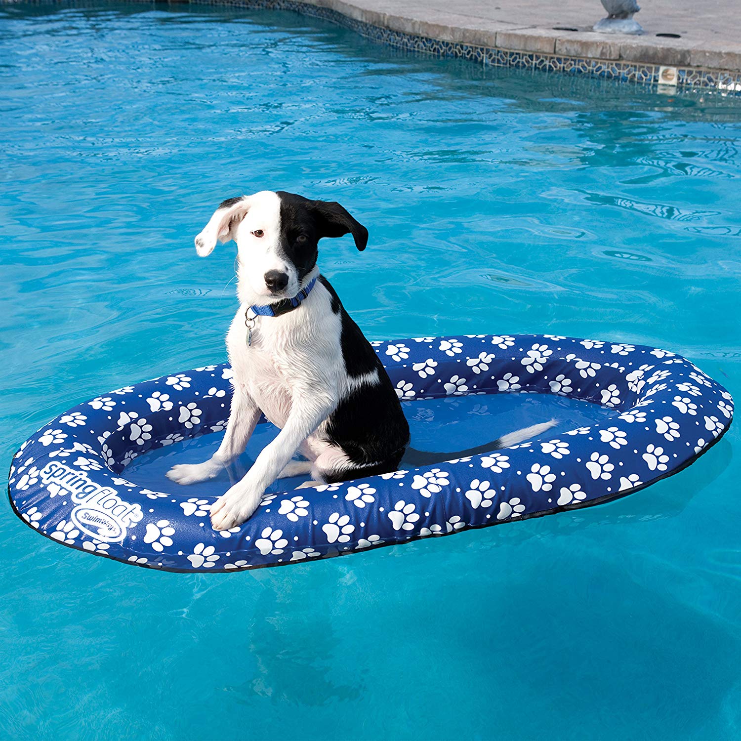 Dog float