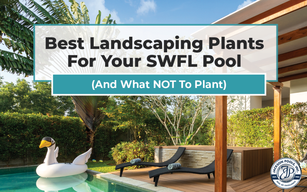 Best Landscaping Plants For Your SWFL Pool (And What NOT To Plant!)