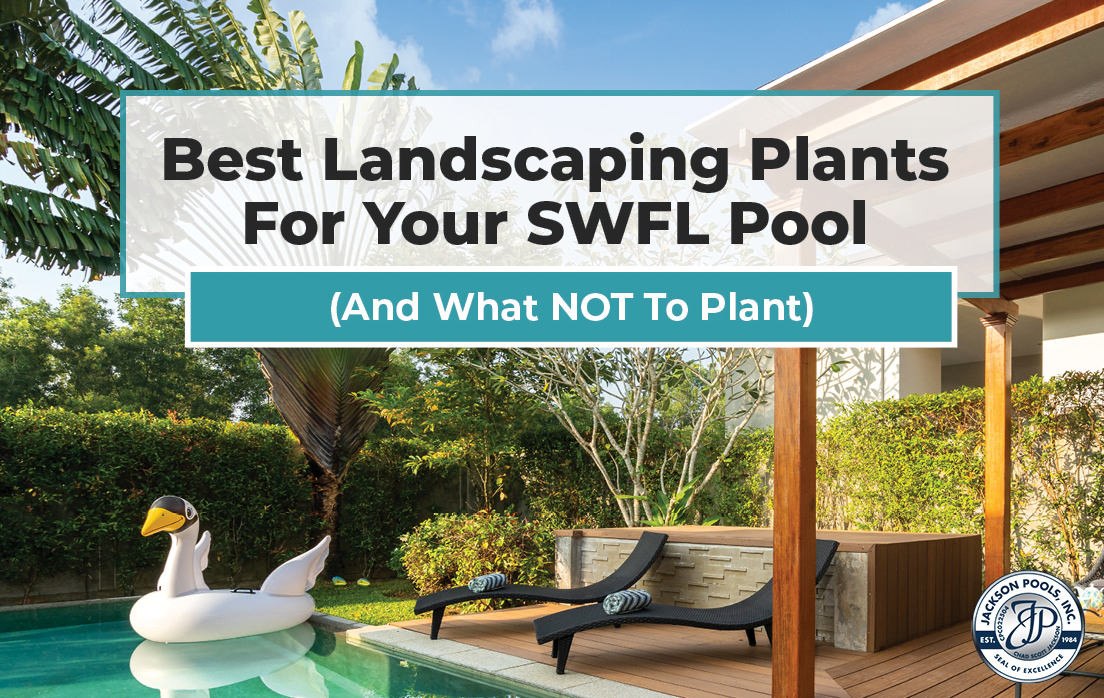 Best Landscaping Plants For Your Swfl Pool And What Not To Plant Jackson Pools Inc - Tropical Plants For Around Pool Florida