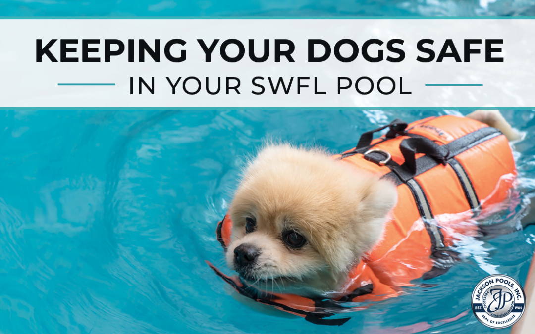 Keeping Your Dogs Safe In Your SWFL Pool