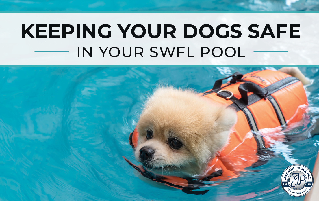 are dogs safe around pools