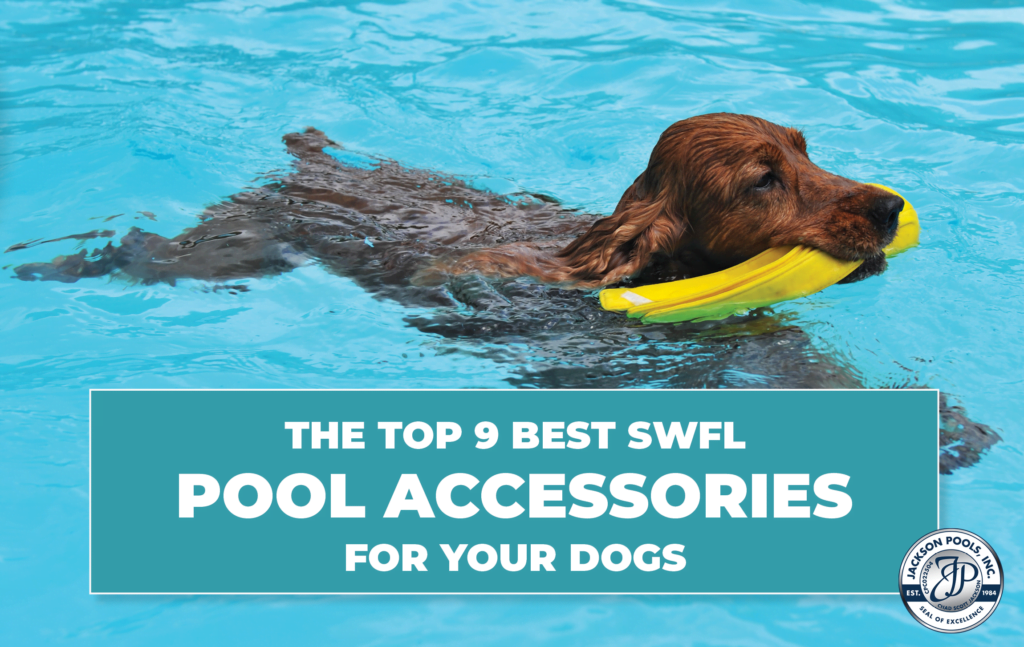 The Top 9 Best SWFL Pool Accessories For Your Dog